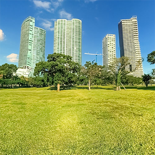 Panorama View with a Grass Field