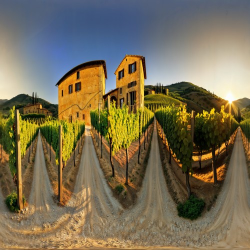 Peaceful Vineyard in Tuscany, Italy: A sprawling vineyard in the Tuscan countryside with rows of lush grapevines stretching over gentle rolling hills. The scene is bathed in golden sunlight, with a rustic farmhouse visible in the background.